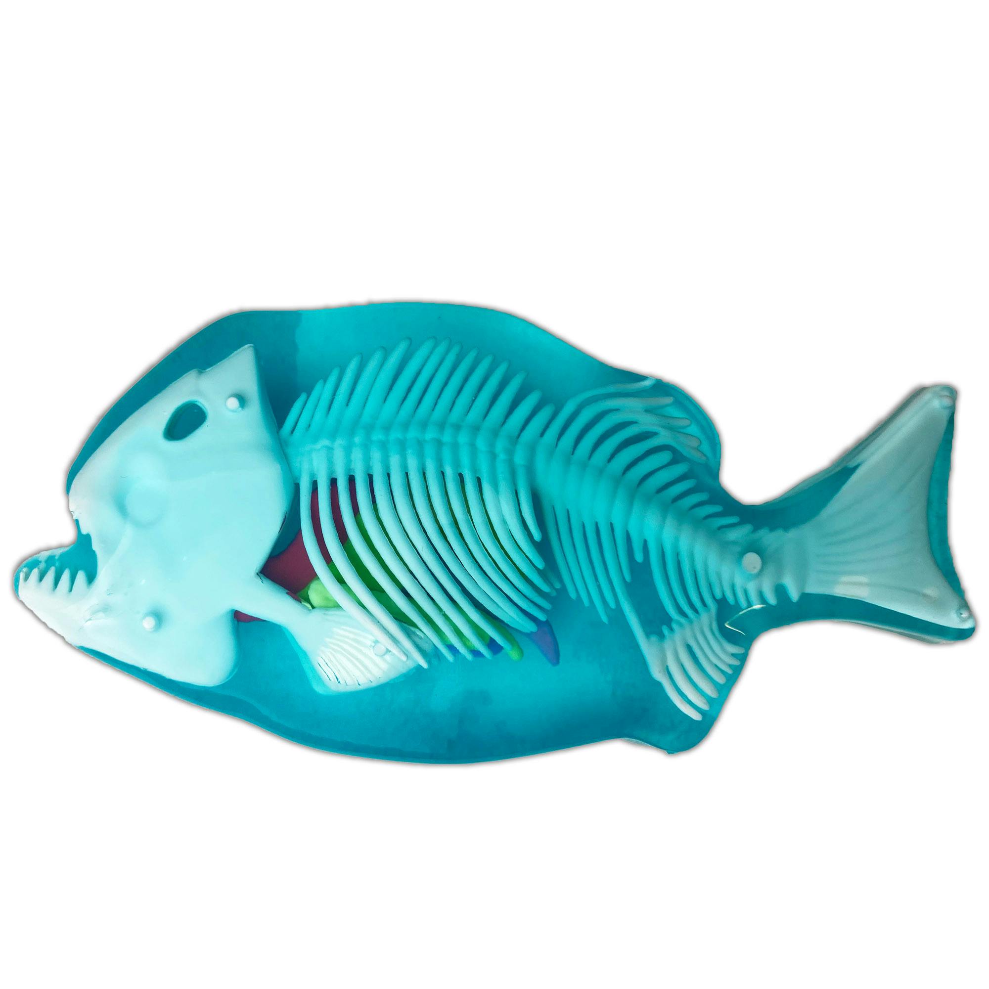 Dissect-It: Piranha Lab