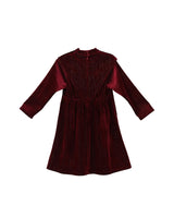 Leila dress (garnet velvet)