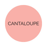 Shades Cantaloupe Dessert Plates