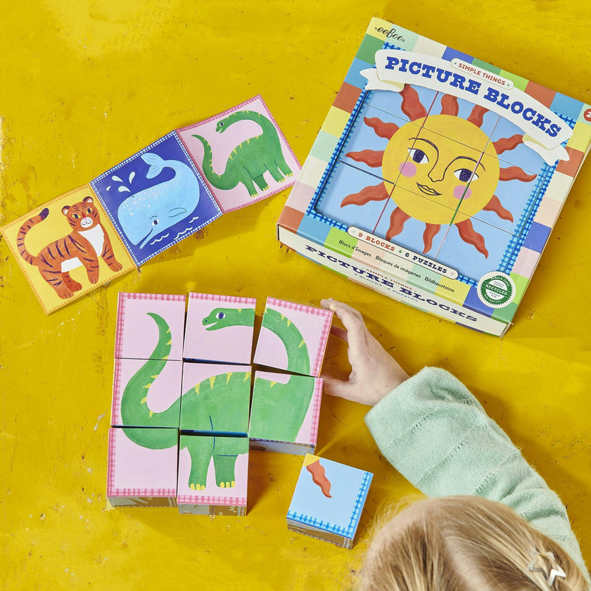 Simple Things Picture Blocks