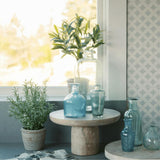 12" Rosemary & 16" Olive Topiary Set