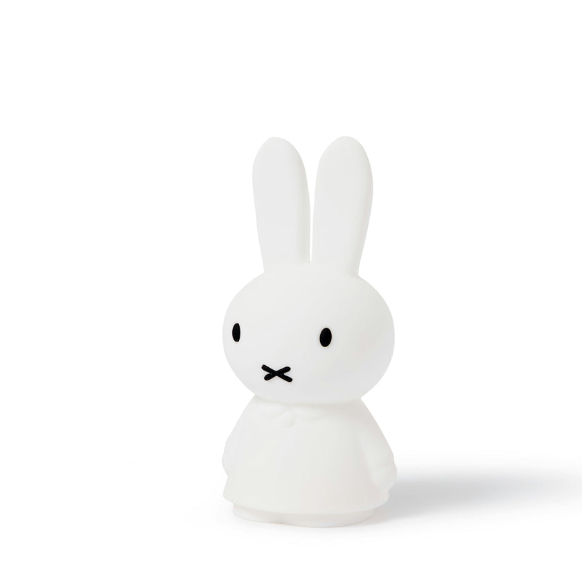 Mr Maria Miffy Lights