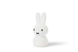 Mr Maria Miffy Lights