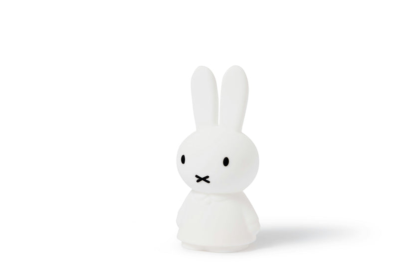 Mr Maria Miffy Lights