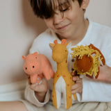 Holdie 3-Friends Animal Toy Set