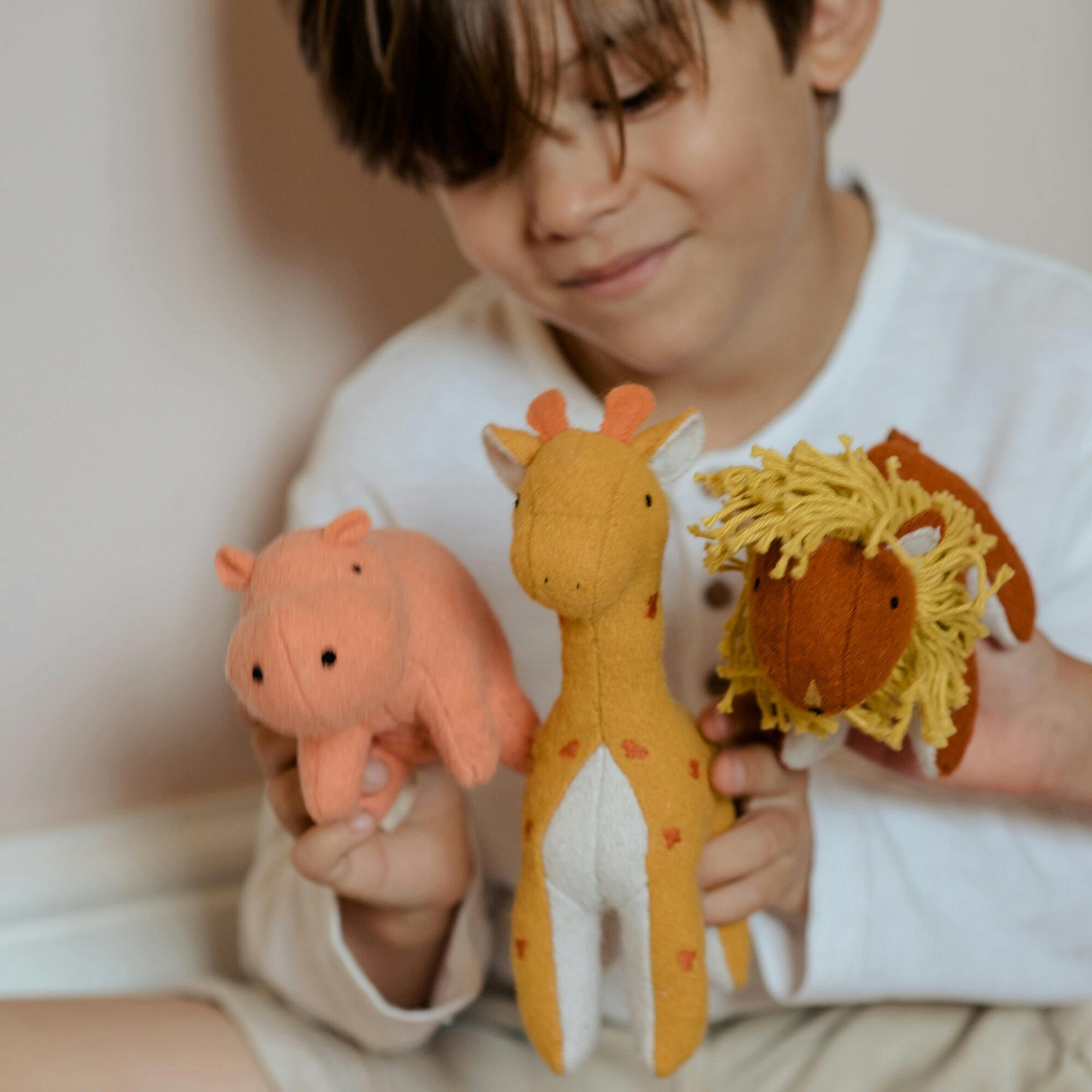 Holdie 3-Friends Animal Toy Set