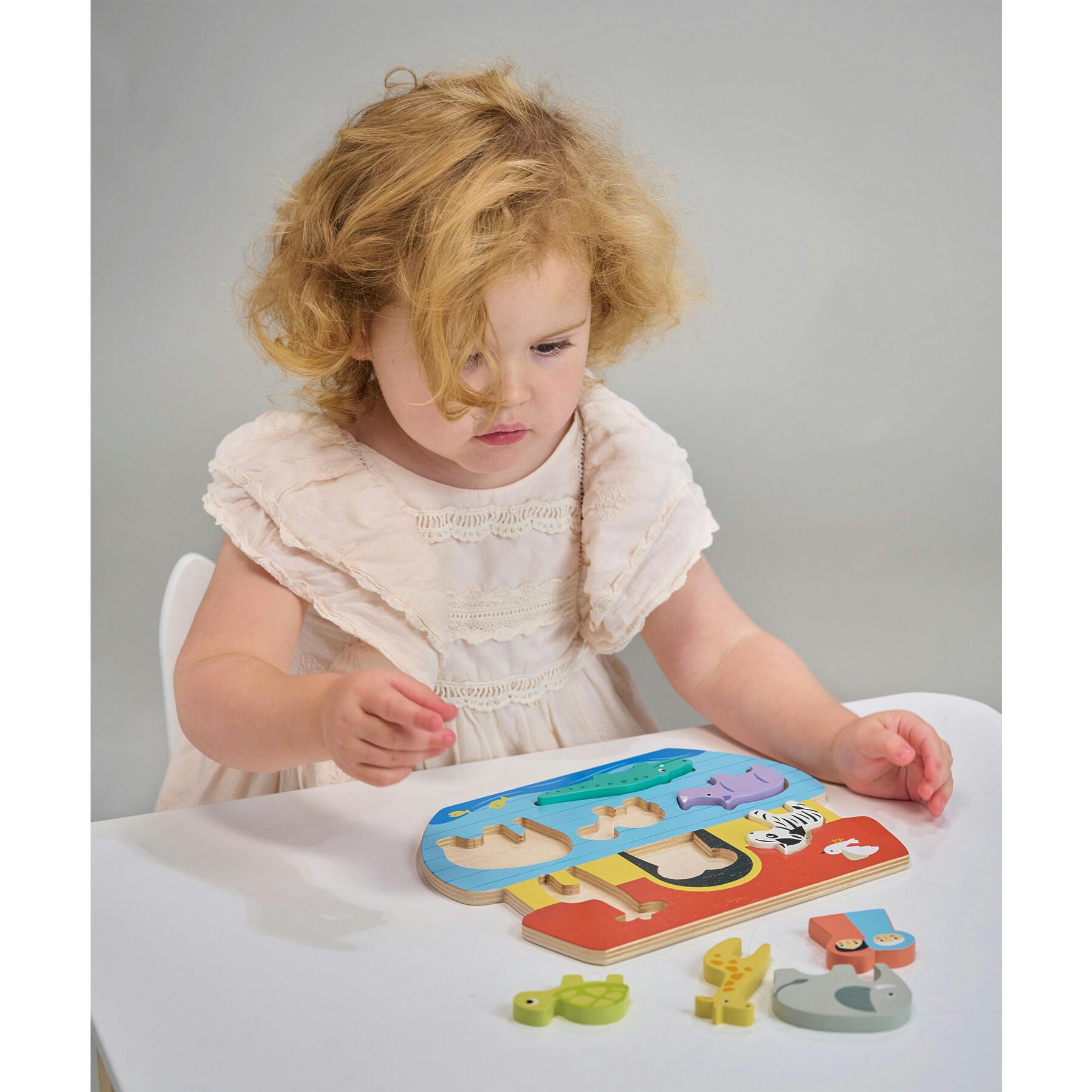 Shape Sorting Ark Tray