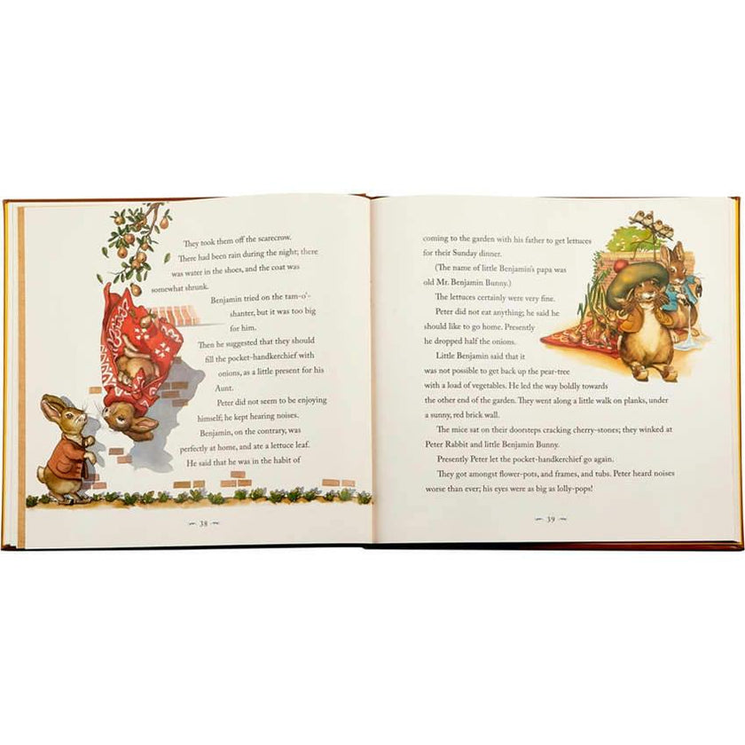 The Classic Tale of Peter Leather Bound Classic Children's Book
