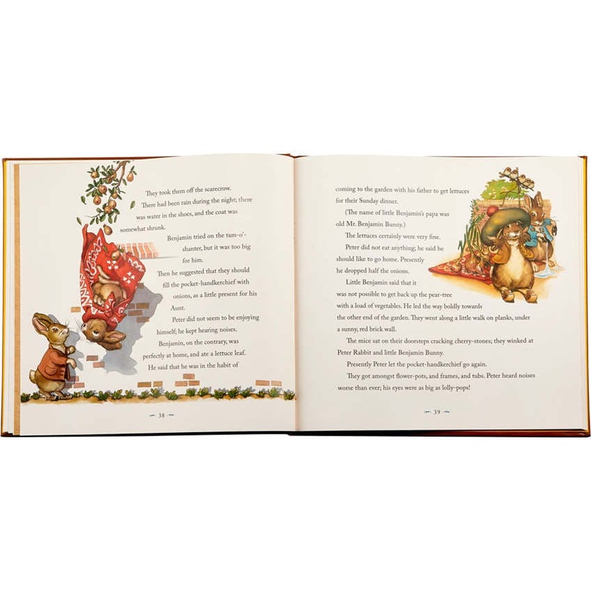 The Classic Tale of Peter Leather Bound Classic Children's Book