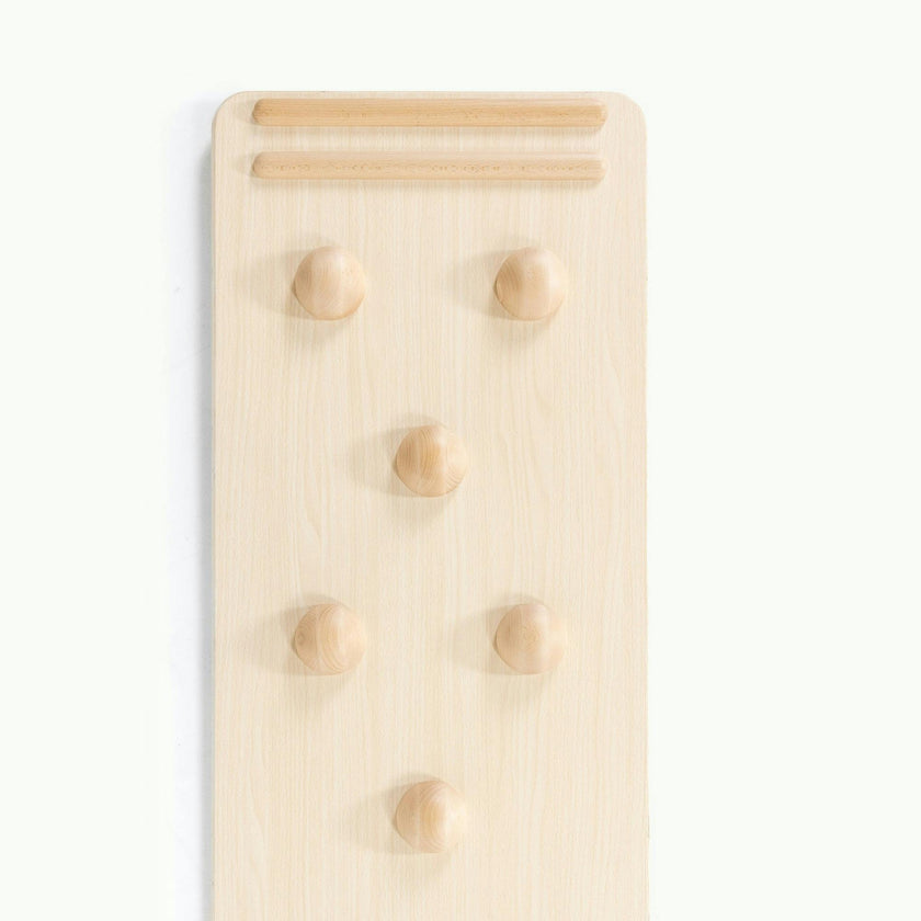 Play Gym Slide