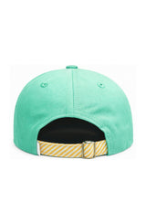 Triceratops Baseball Hat
