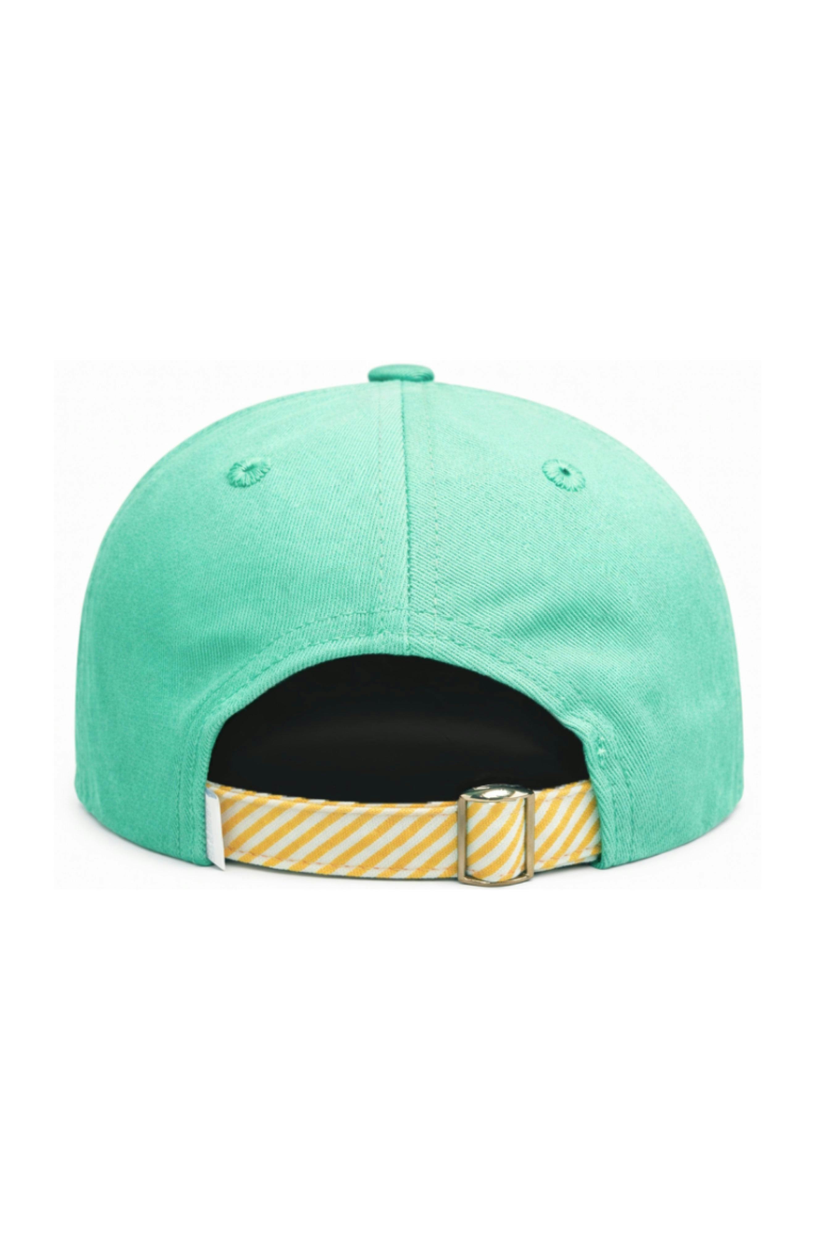 Triceratops Baseball Hat
