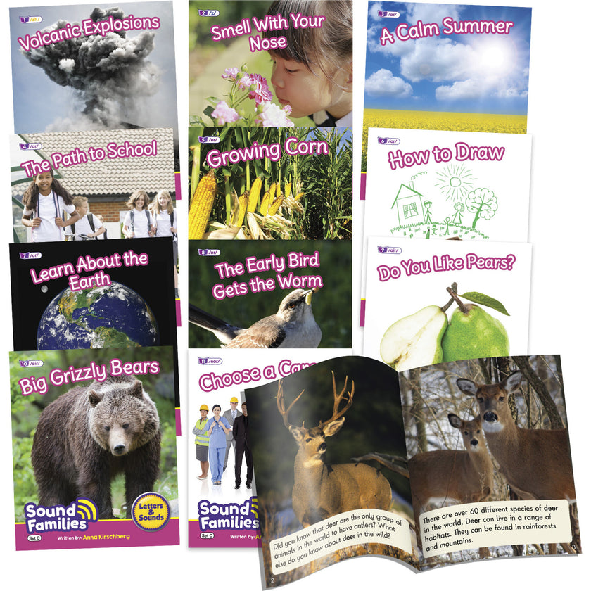 Decodable Readers Sound Families R-controlled Non-Fiction Phase 5.5