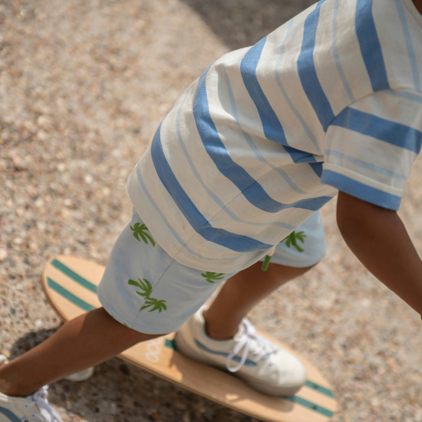 Blue Stripe T-Shirt