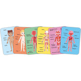 Hape: Human Body Magnetic Puzzle - 68pc
