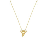 Shark tooth