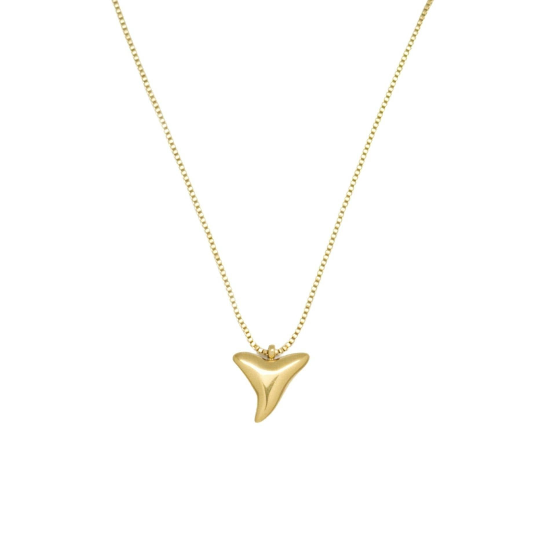Shark tooth