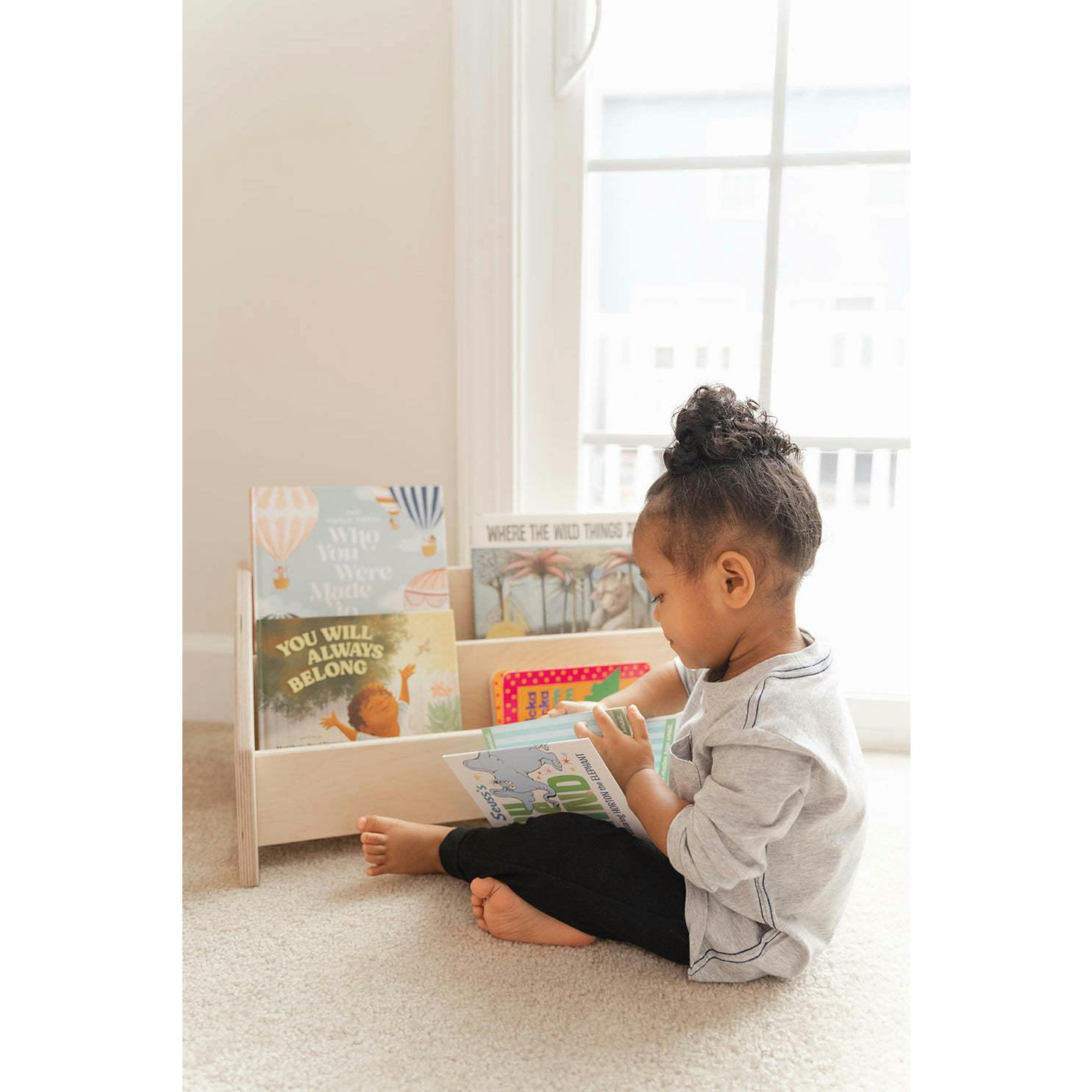 The Montessori Bookshelf