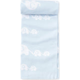Novelty Blanket