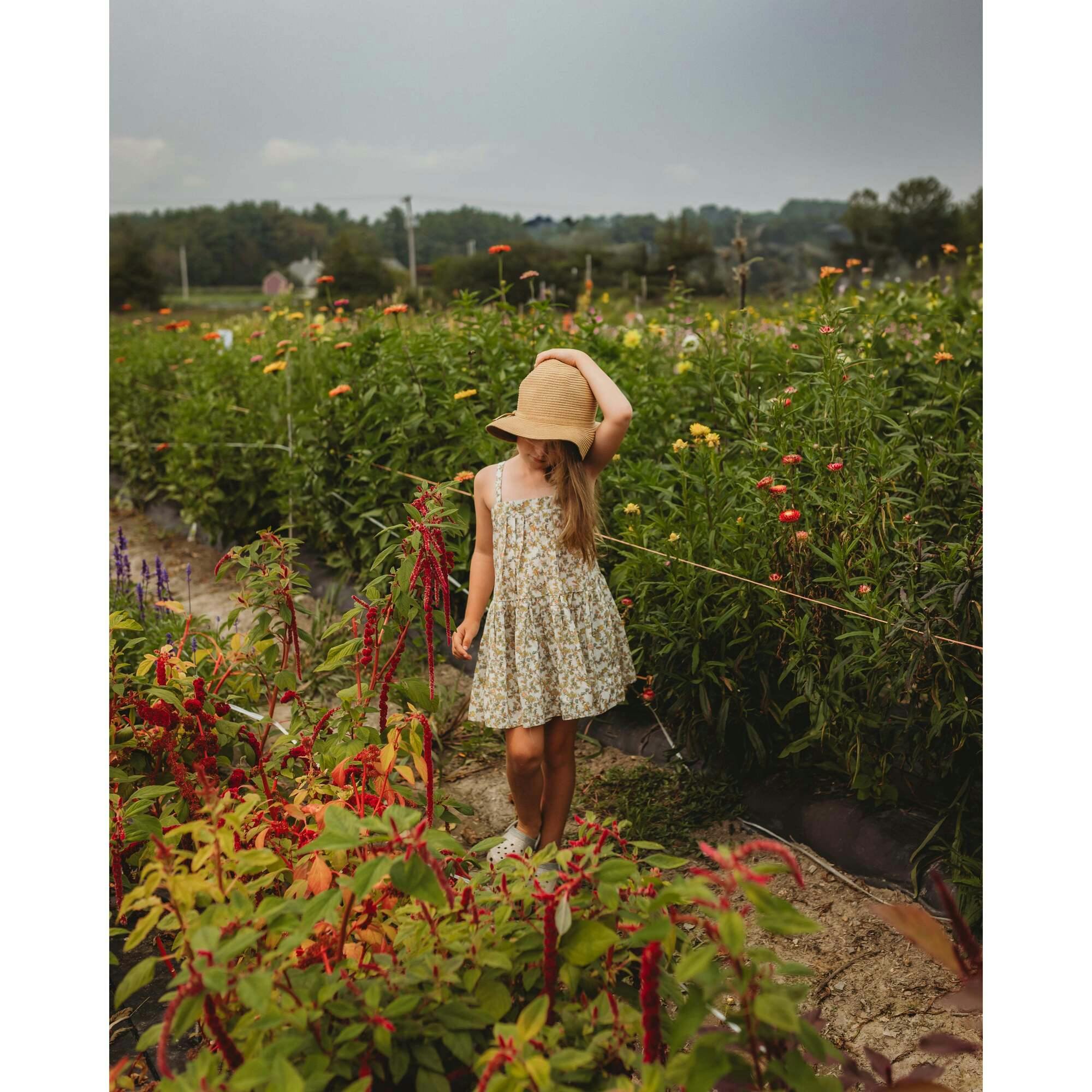 Hikari Pintuck Dress| Mustard Sage Blossom