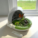 Hape: Science Can: Insects Growth Station