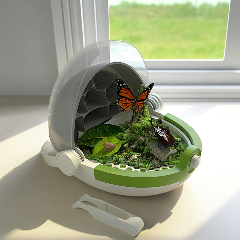 Hape: Science Can: Insects Growth Station