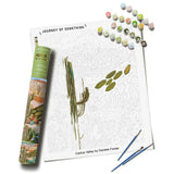 JOS: Paint By Numbers - Cactus Valley