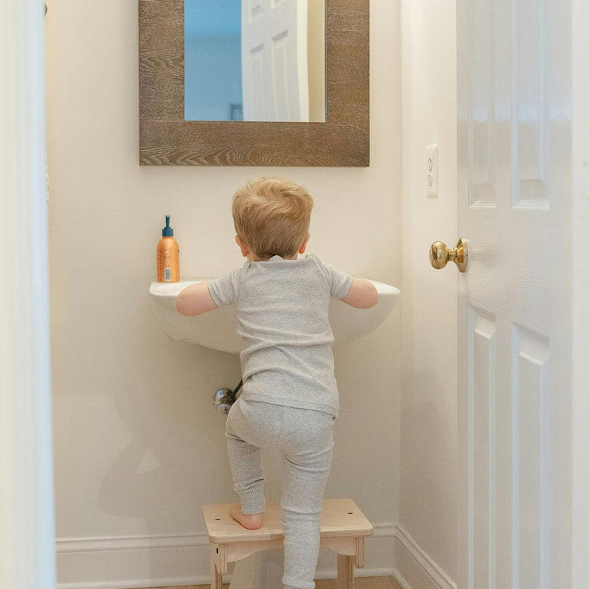 The Step Stool