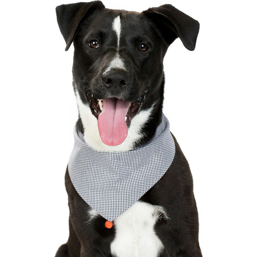Neckwear, Prints