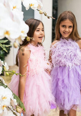 Lavender Haze Feather Dress