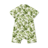 Island Leaf Collared Shortall