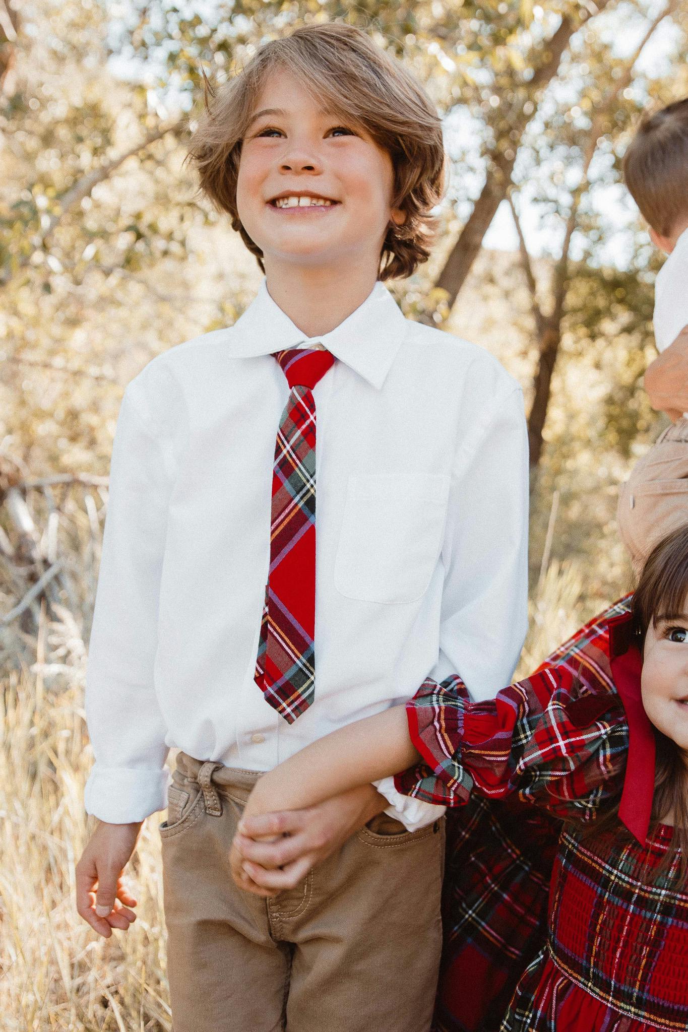 Ties in Holiday Plaid
