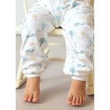 Little Airplanes Pima Baby Pajama