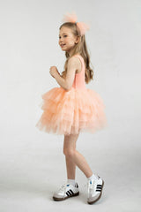 Salmon Sunset Tutu Dress