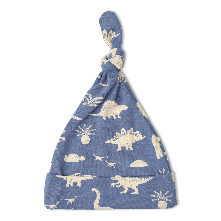 Organic Swaddle Blanket & Hat Set