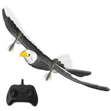 Bald Eagle R/C