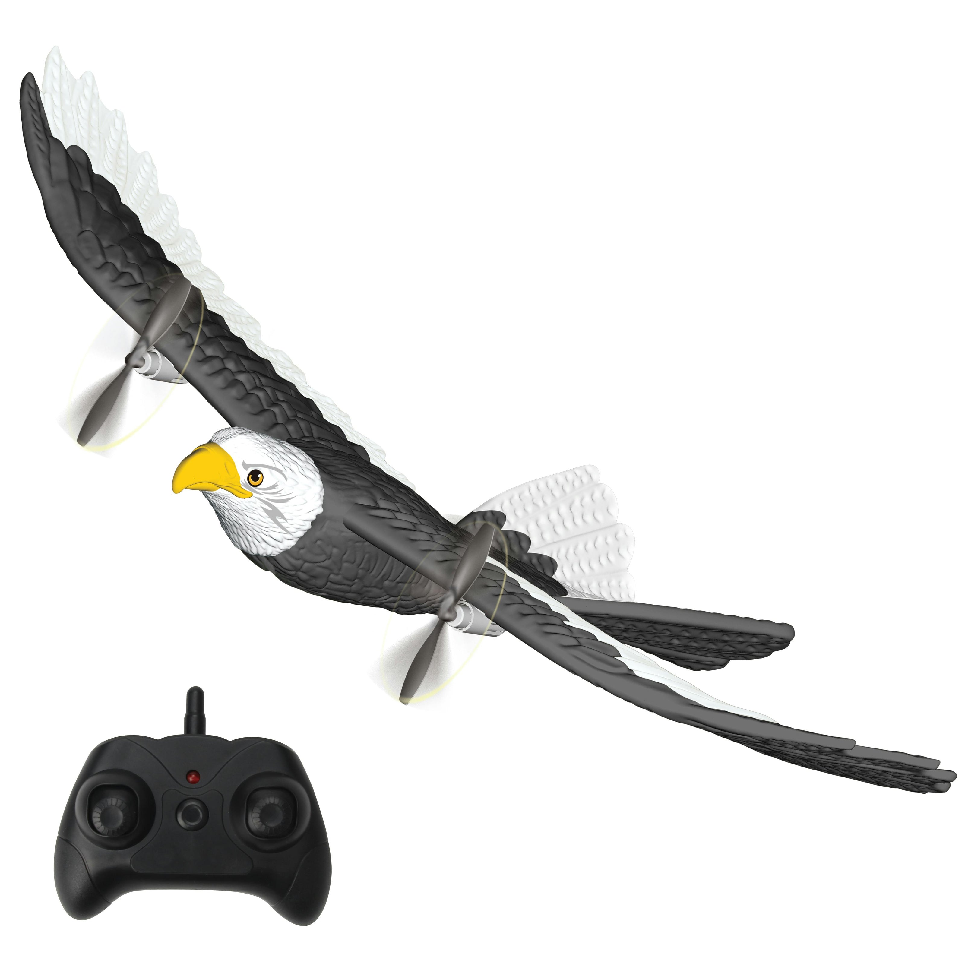 Bald Eagle R/C
