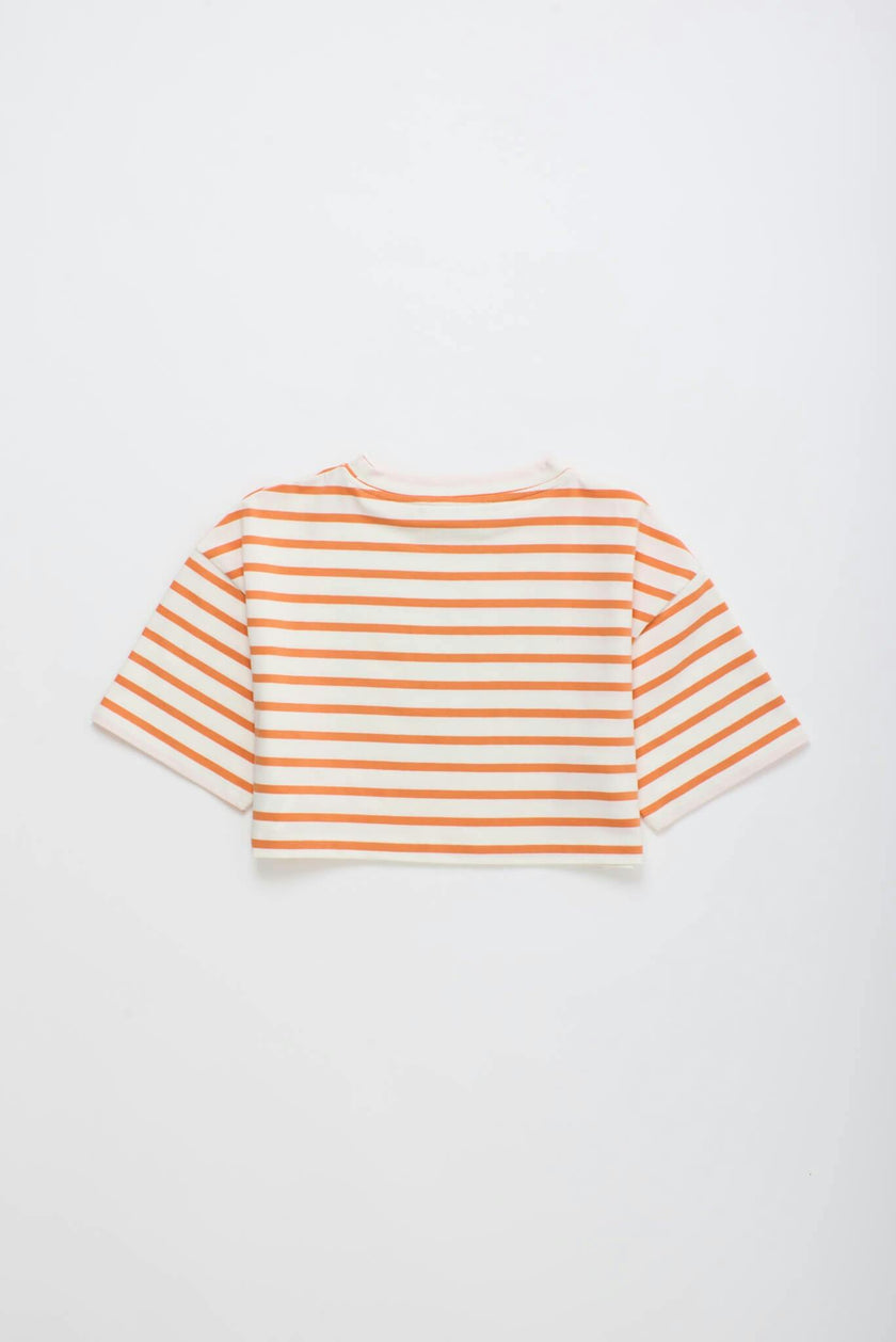 BIRDS STRIPED CROP TOP MANDARIN /WHITE