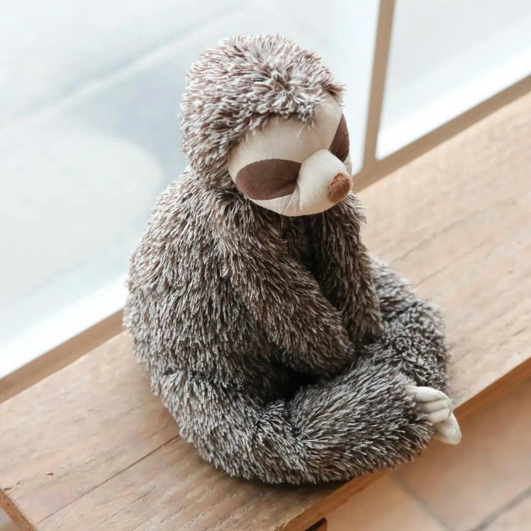Sunny the sloth