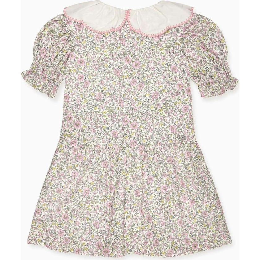 Nicky Hilton x La Coqueta Sage Floral Iris Girl Drop Waist Dress