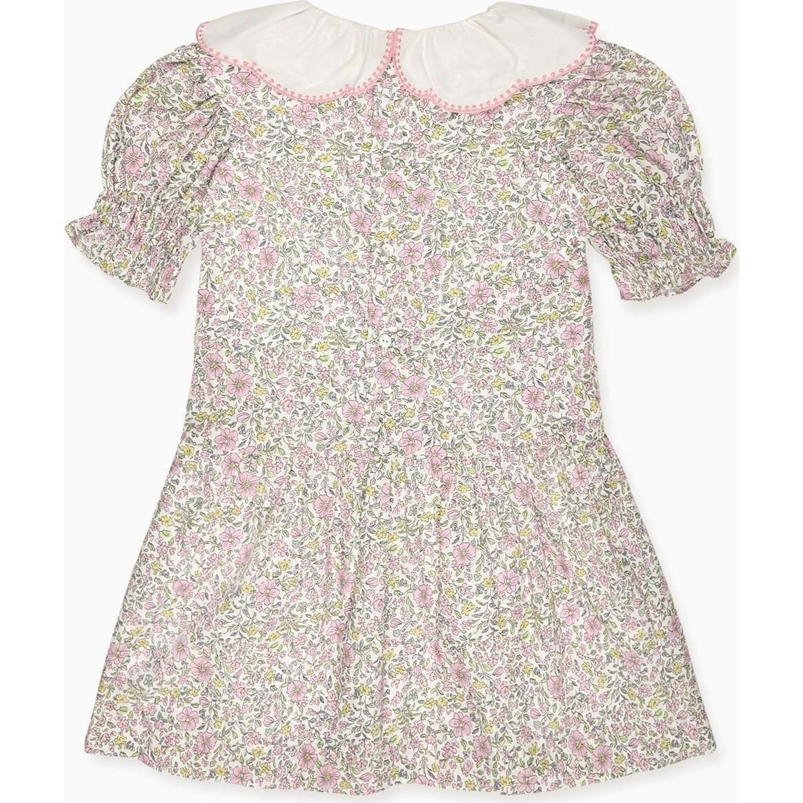 Nicky Hilton x La Coqueta Sage Floral Iris Girl Drop Waist Dress