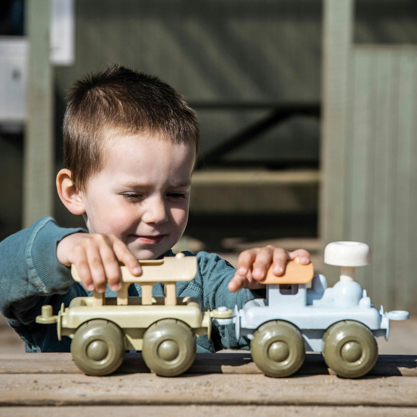 BIO: Train Set