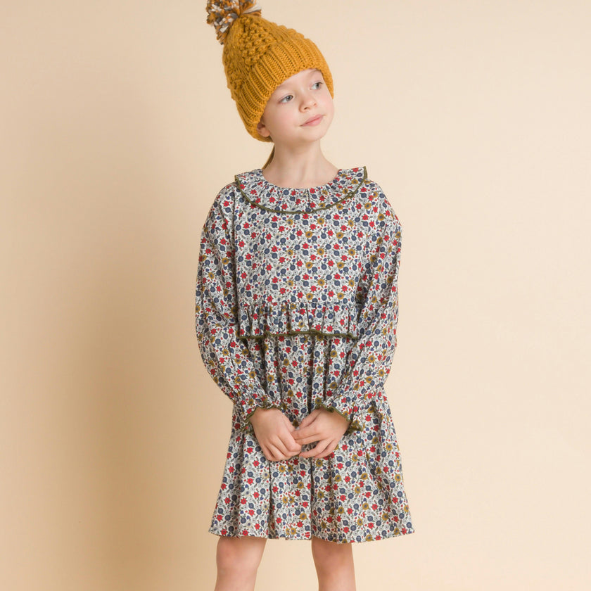 Ruffle Collar Long Sleeve Dress