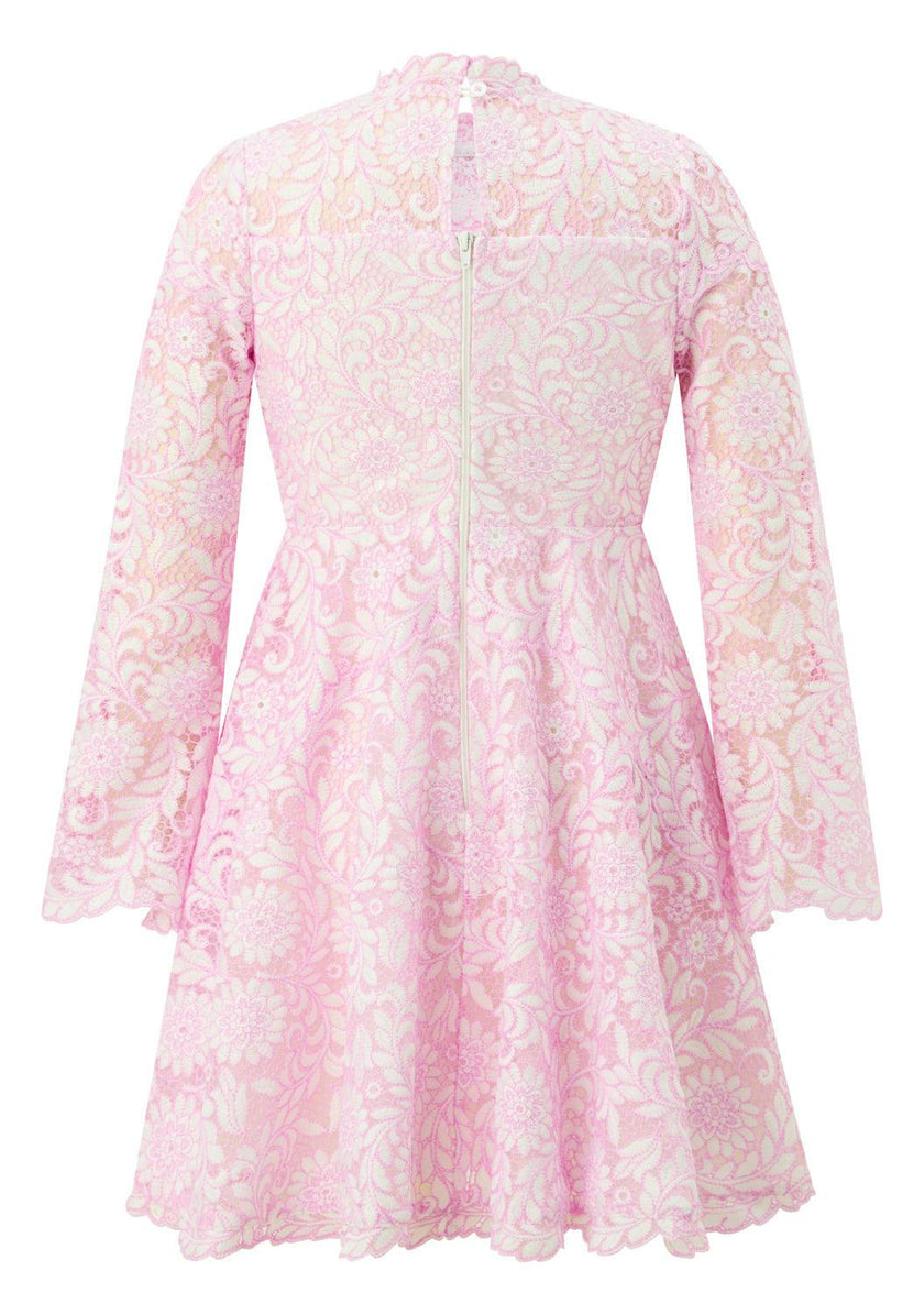 Primrose Embroidery Mini Dress