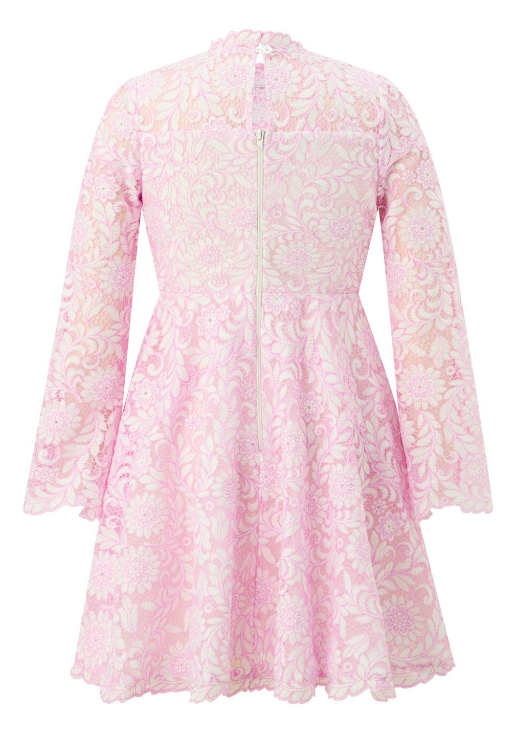 Primrose Embroidery Mini Dress