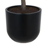 6.5' Faux Potted Olive Tree