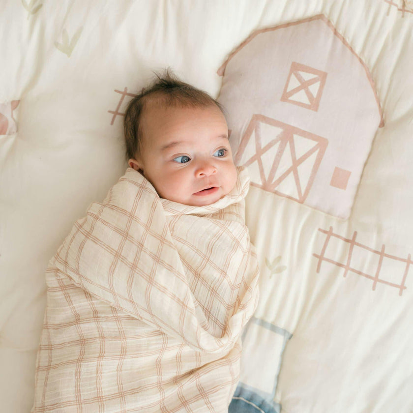 Charlie 2-pc. Farmhouse Goose/Check Muslin Swaddle Set