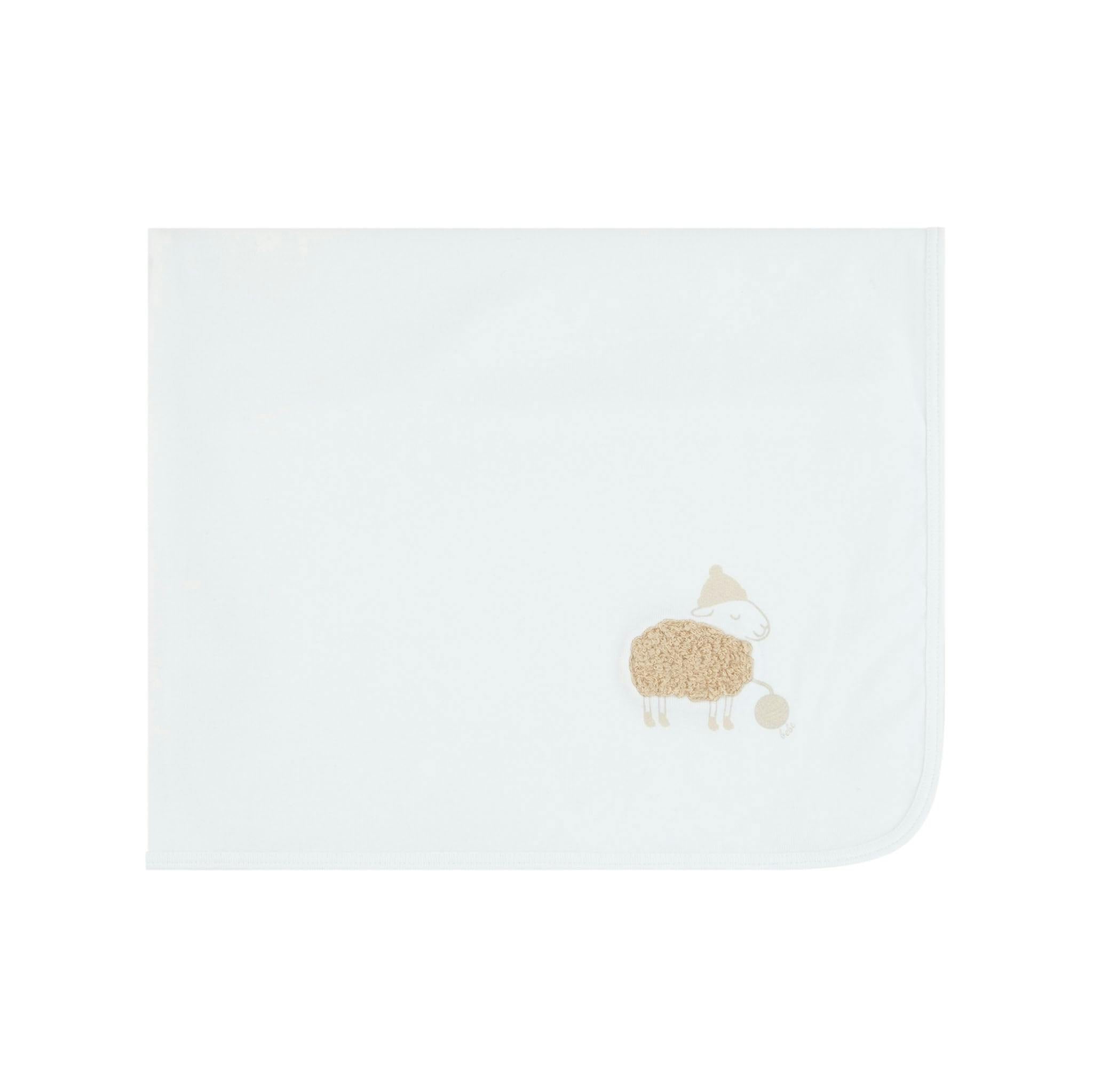 Fuzzy Sheep Blanket