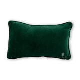Pumpkin To Talk About Needlepoint Pillow