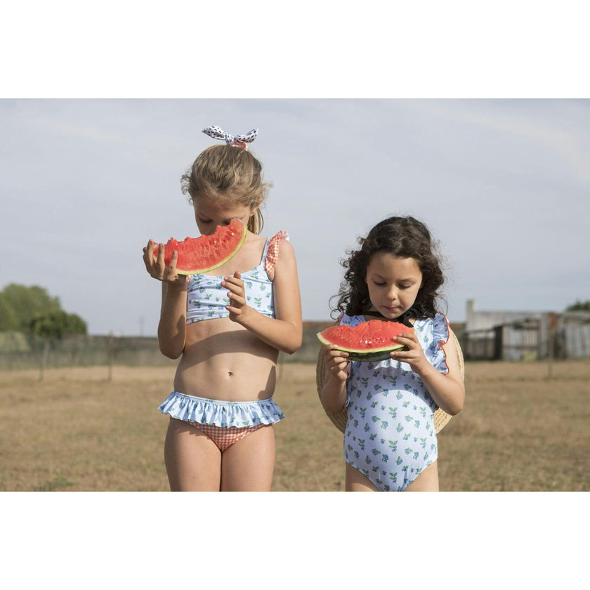 Blueberry Print Vichy Ruffle Bikini, Multi